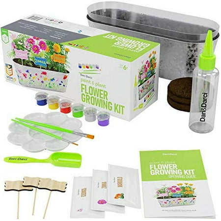 Dan&Darci Paint & Plant Flower Growing Kit for Kids - Best Birthday Crafts Gifts for Girls & Boys - Christmas Gift - Childrens Gardening Kits, Art Projects Toys for Ages 4-12