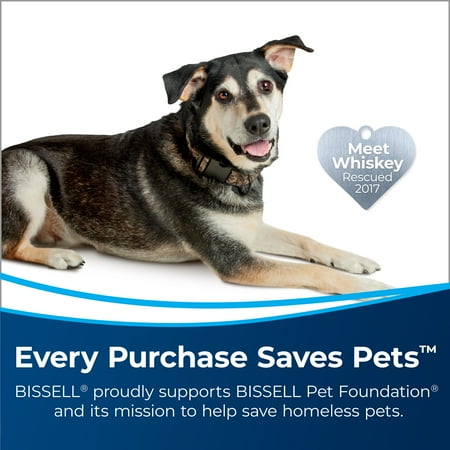 BISSELL Powerforce Powerbrush Pet Lightweight Carpet Cleaner 2910 with BISSELL Advanced fresh scent trial sized formula, PowerForce? PowerBrush Pet Advanced