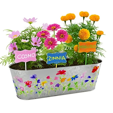 Dan&Darci Paint & Plant Flower Growing Kit for Kids - Best Birthday Crafts Gifts for Girls & Boys - Christmas Gift - Childrens Gardening Kits, Art Projects Toys for Ages 4-12