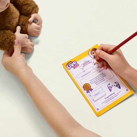 Little Live Pets My Baby Monkey Mango, 50+ Sounds and Reactions, Ages 4+