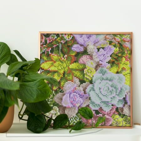 DIAMOND DOTZ? Succulents in Bloom Special Edition Diamond Painting Kit