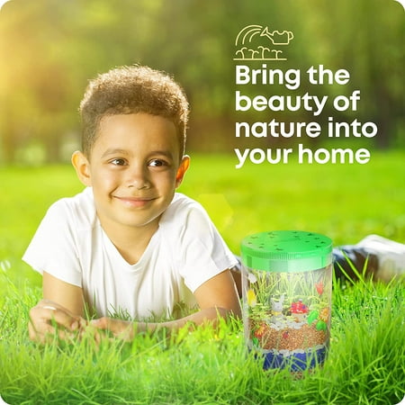 Dan&Darci Light-up Terrarium Kit for Kids - Science Kits, Gardening Gifts, Children Toys