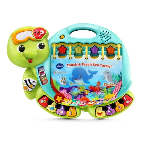 VTech Touch & Teach Sea Turtle Baby and Toddler Toys