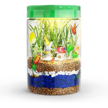 Dan&Darci Light-up Terrarium Kit for Kids - Science Kits, Gardening Gifts, Children Toys