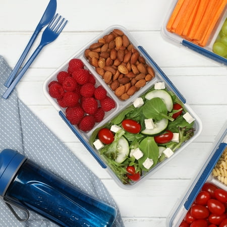 Sistema TO GO Collection 820mL Multi Split Food Storage Container