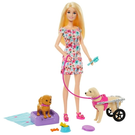 Barbie Doll Pup Playset with a Toy Pup and Dog in a Wheelchair, Plus Pet Accessories, 10+ Pieces