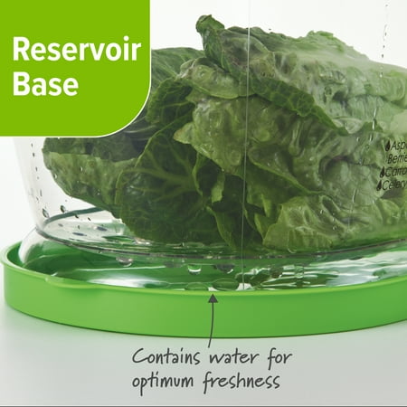 Prep Solutions Lettuce Keeper