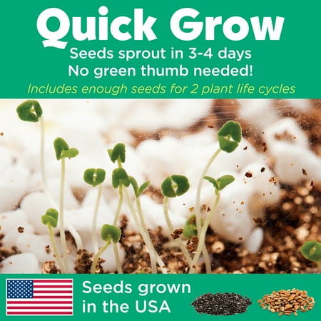 Creativity for Kids Grow N? Glow Terrarium ? Child Craft Activity for Boys and Girls