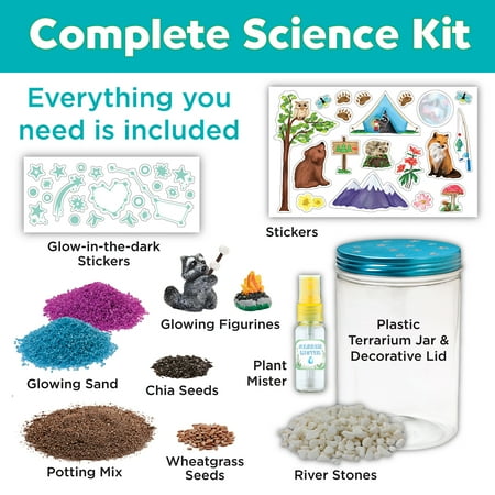 Creativity for Kids Grow N? Glow Terrarium ? Child Craft Activity for Boys and Girls