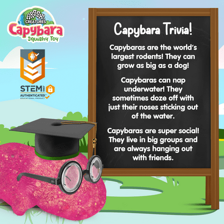 Power Your Fun Capybara Squishy Toy 2-Pack, Stress Relief Fidget STEM Toys for Adults & Kids