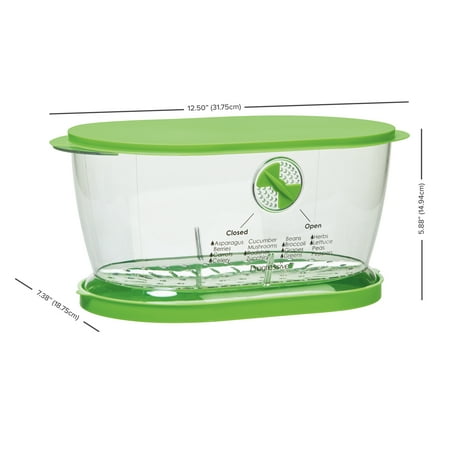 Prep Solutions Lettuce Keeper