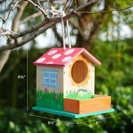 LotFancy Bird House Kit, DIY Wooden Birdhouse Kits for Kids and Adults to Build and Paint