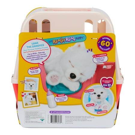 Little Live Pets My Really Real Puppy Luna The Samoyed, Interactive Toy Puppy, 60+ Sounds and Reactions, Ages 4+