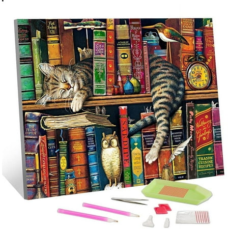 TISHIRON 5D Full Drill Diamond Art Painting Kits for Adults Kids Cat on Bookshelf DIY Round Diamond Art Painting Kit Animal Paint by Diamonds for Adults, 12x16 Inches, Other, 12" x 16"