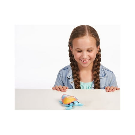 Little Live Pets, Lil' Turtle Rip Swirl, Interactive Toy Turtle, Ages 4+
