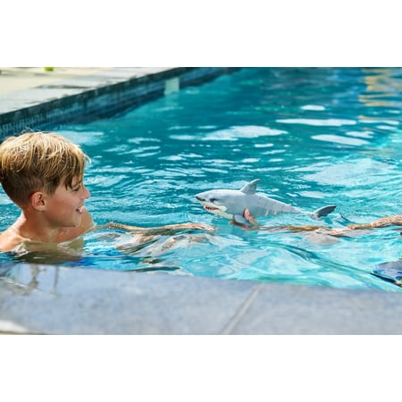Robo Alive Great White Shark Series 1 by Zuru, Battery-Powered Robotic Light Up Shark Toy, Summer Pool Toy, Bath Toy