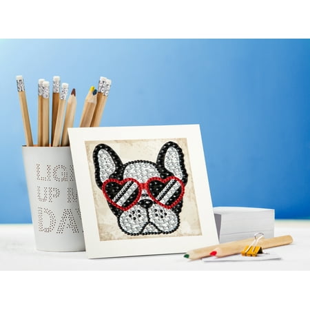 DIAMOND DOTZ? BIG DOTZ? CAMEO Cool Sunnies Diamond Painting Kit