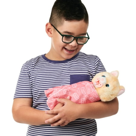 Little Live Pets Cozy Dozy Ginger The Kitty, Interactive Plush Toy 25+ Sounds and Reactions Ages 4+