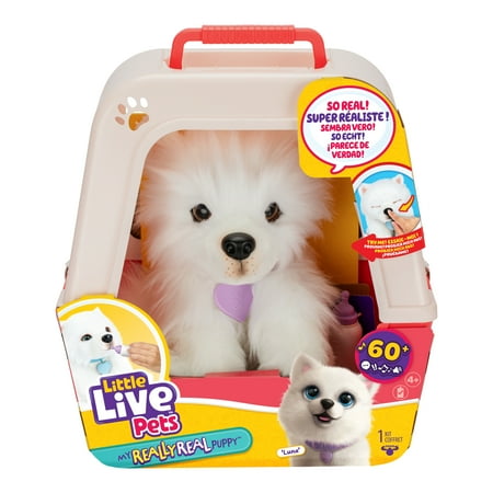 Little Live Pets My Really Real Puppy Luna The Samoyed, Interactive Toy Puppy, 60+ Sounds and Reactions, Ages 4+