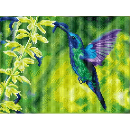 DIAMOND DOTZ? Hummingbird Garden Special Edition Diamond Painting Kit