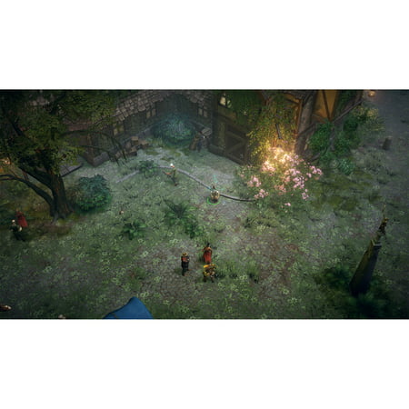 Pathfinder Kingmaker: Wrath of the Righteous for PlayStation 4