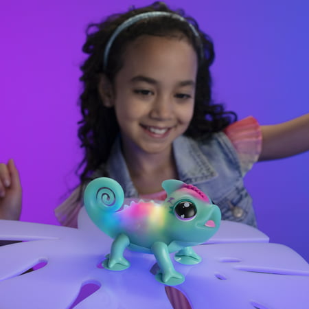 Little Live Pets Sunny The Bright Light Chameleon, Interactive Color Change Light Up Toy, with 30+ Sounds & Emotions