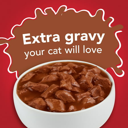 (24 Pack) Friskies Gravy Wet Cat Food, Extra Gravy Chunky With Beef in Savory Gravy, 5.5 oz. Cans, Beef