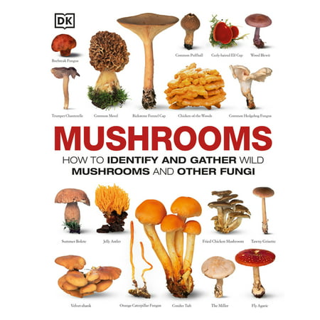 Mushrooms : How to Identify and Gather Wild Mushrooms and Other Fungi (Hardcover)