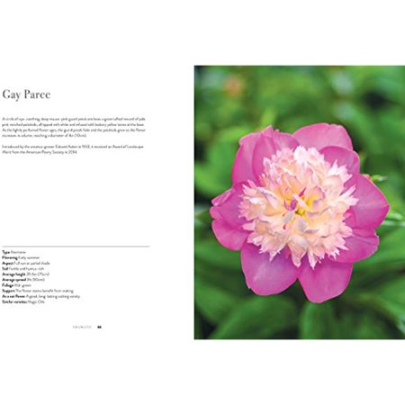 Peonies : Beautiful Varieties for Home & Garden (Hardcover)