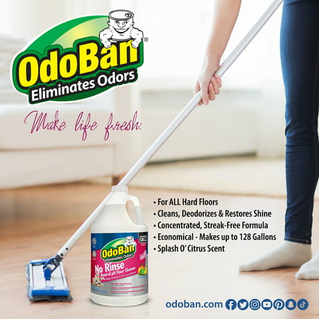 OdoBan Floor Cleaners, 128 Fluid Ounce