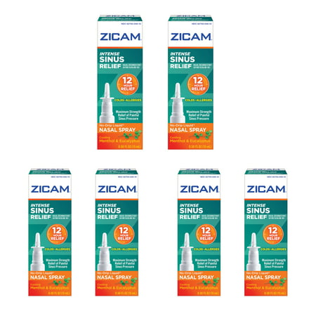 Zicam Intense Sinus Relief Liquid Nasal Spray 0.50 oz (Pack of 6)