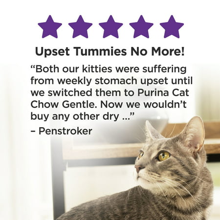 Purina Cat Chow Gentle Dry Cat Food, Sensitive Stomach + Skin, 6.3 lb. Bag, 6.3 lbs