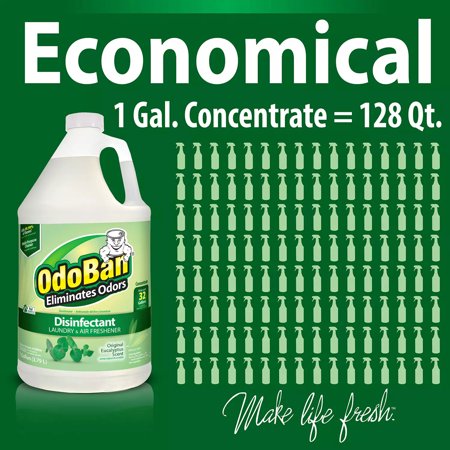 OdoBan Odor Eliminator and Disinfectant Concentrate, Eucalyptus Scent