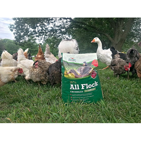Manna Pro All Flock Crumbles with Probiotic for Chickens, 8 lbs