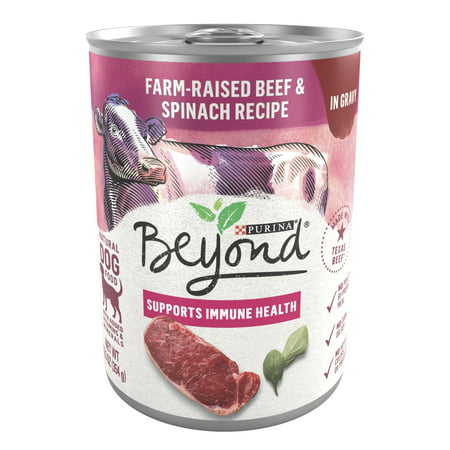 (12 Pack) Purina Beyond Farm-Raised Beef and Spinach in Gravy Grain Free Wet Dog Food, 12.5 oz. Cans