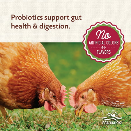 Manna Pro All Flock Crumbles with Probiotic for Chickens, 8 lbs