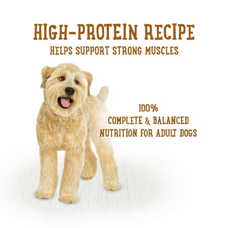 (8 Pack) Purina Beneful High Protein Wet Dog Food With Gravy, Prepared Meals Simmered Chicken Medley, 10 oz. Tubs
