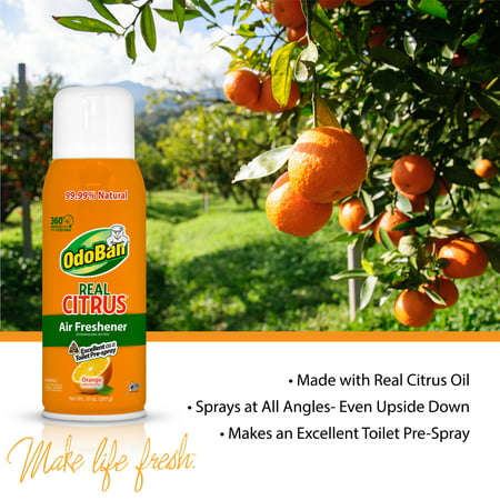 OdoBan Real Citrus Orange Air Freshener 360 Continuous Spray, 10 Ounce, 2 Pack, 2-Pack