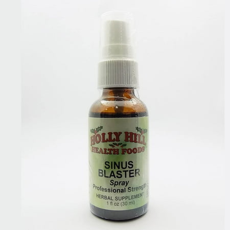 Holly Hill Health Foods, Sinus Blaster Spray (Professional Strength), 1 Ounce