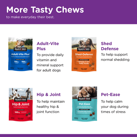 Nutri-Vet Pre and Probiotic Soft Chews for Dogs | Digestive Health Support Dog Probiotics | Tasty Alternative to Dog Probiotic Powder | 120 Soft Chews