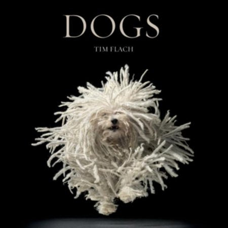 Dogs (Hardcover)