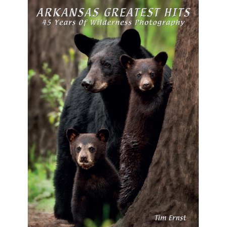Arkansas Greatest Hits : 45 Years of Wilderness Photography (Hardcover)