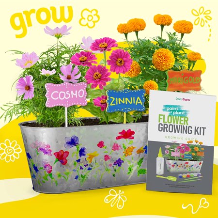 Dan&Darci Paint & Plant Flower Growing Kit for Kids - Best Birthday Crafts Gifts for Girls & Boys - Christmas Gift - Childrens Gardening Kits, Art Projects Toys for Ages 4-12