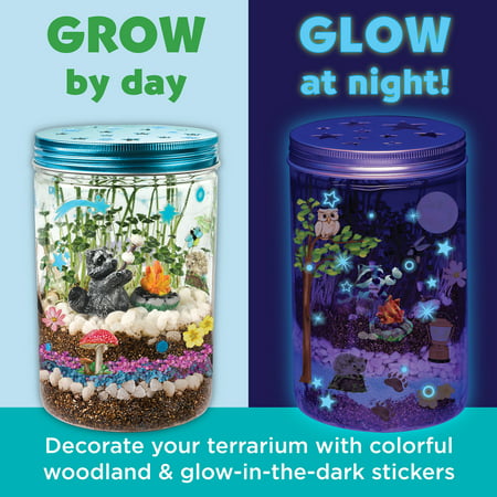 Creativity for Kids Grow N? Glow Terrarium ? Child Craft Activity for Boys and Girls