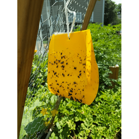 AgBio Cucumber Beetle Trap & Lure (2 Pack)