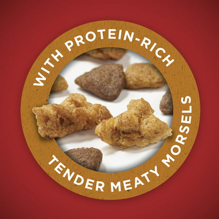 Purina ONE Natural Dry Dog Food, SmartBlend Chicken & Rice Formula, 31.1 lb. Bag, 31.1 lb.
