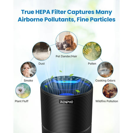 RENPHO HEPA Air Purifier for Home Large Room Up to 600 Sq.ft, H13 True HEPA Filter Air Cleaner for Pet Hair, Allergies, 99.97% Smokers, Odors, Dust, Pollen, Odor Eliminators for BedroomBlack,