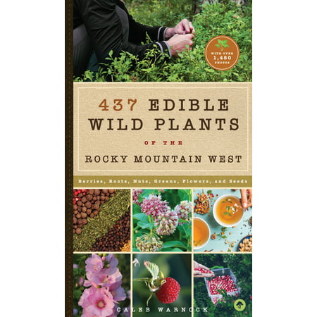 437 Edible Wild Plants of the Rocky Mountain West : Berries, Roots, Nuts, Greens, Flowers, and Seeds (Paperback)