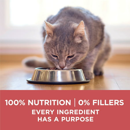 Purina ONE +Plus Indoor Advantage With Real Salmon No. 1 Ingredient, High Protein Dry Cat Food, 7 lb. Bag, 7 lbs