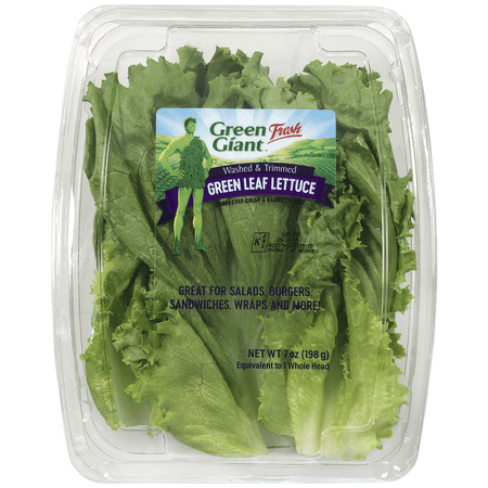 Green Leaf Lettuce Filet
